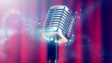خواننده محبوب پاپ بستری شد!