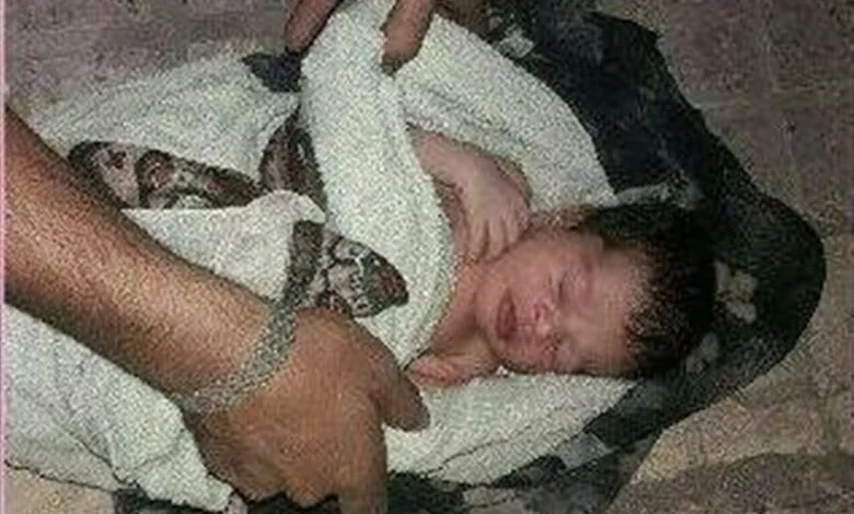 نوزاد رها شده در سرمای سوزناک در تبریز