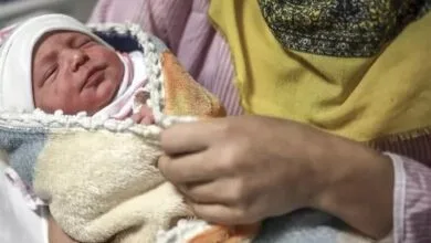 نوزاد عجول بر فراز آسمان به دنیا آمد