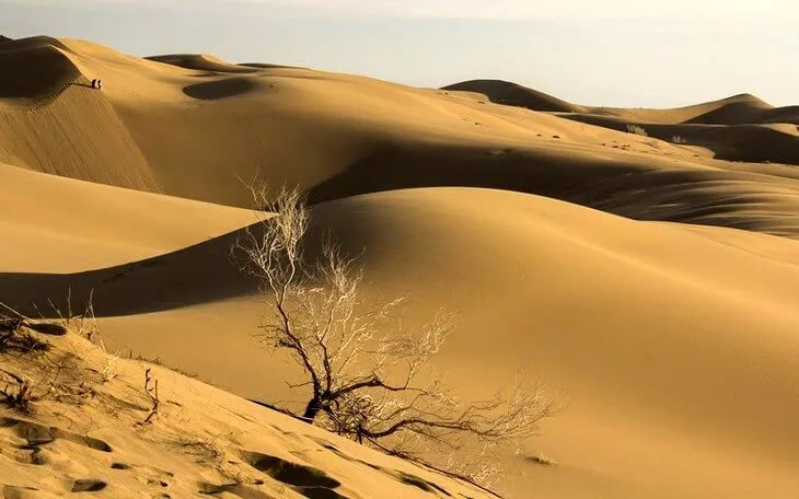 خبر تازه از ۱۰گردشگر مفقودی در کویر طبس