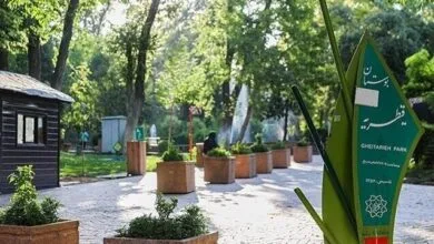 تصویری بحث‌برانگیز از منطقه قیطریه در تهران