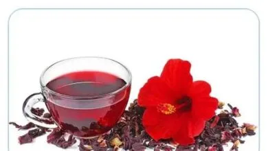 خواص این دمنوش ترش / ۸ خاصیت اثبات شده علمی