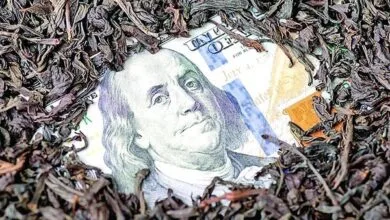 جزئیات جدید درباره پرونده چای دبش