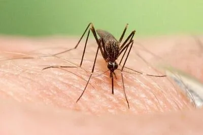 تهدید جدید پایتخت/گرمای بی‌سابقه و تب دنگی زنگ خطر را به صدا درآوردند