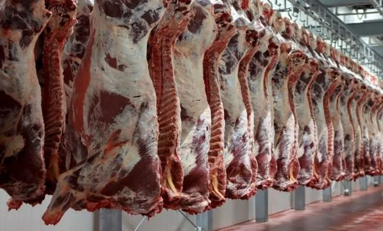 قیمت گوشت قرمز 300 هزارتومان اعلام شد، صحت دارد؟