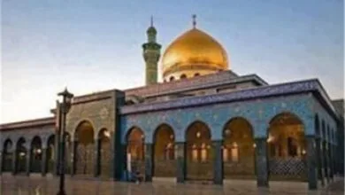 توقف سفرهای زیارتی به سوریه/ علت چه بود؟
