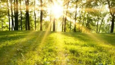 سورپرایز هواشناسی برای مسافران این نقطه از ایران
