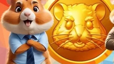 کدام صرافی‌ها همستر کامبت را لیست می‌کنند؟
