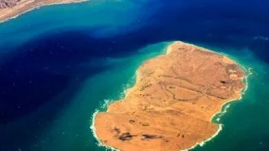 افشای سندی انگلیسی از تعلق جزایر سه گانه به ایران +عکس