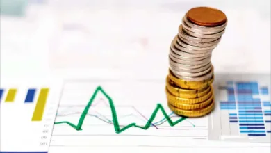 دولت درباره تغییر نرخ سود بانکی تصمیم نهایی را گرفت