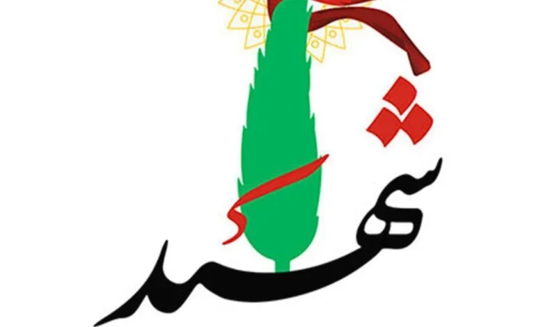 نیروی ارتش در هنگ مرزی زابل به شهادت رسید