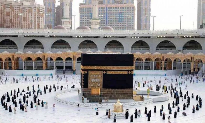 کاهش عجیب قیمت فیش عمره/ علت مشخص شد؟