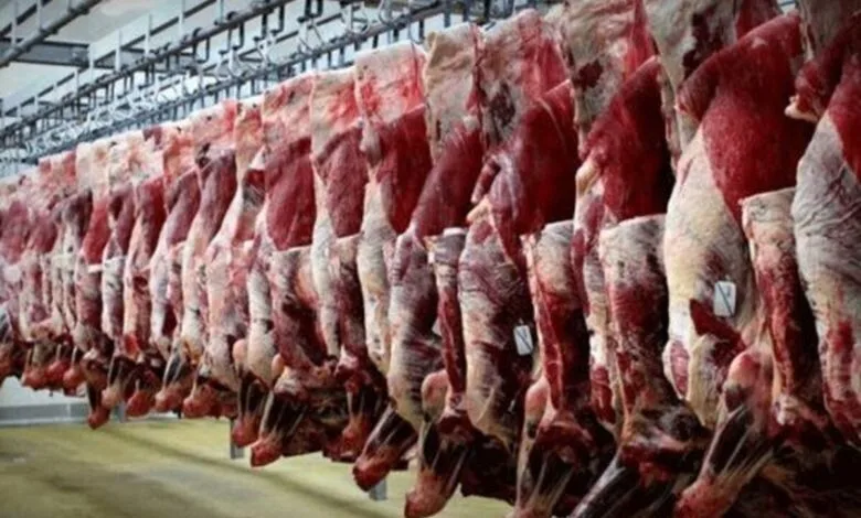 قیمت جدید گوشت گوسفند، گوساله و مرغ ۴ آذر +جدول