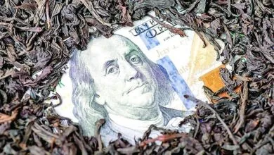 پرونده بحث برانگیزِ چای دبش به کجا رسید؟