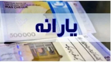 اگر این شرایط را دارید برای قطع یارانه آماده شوید