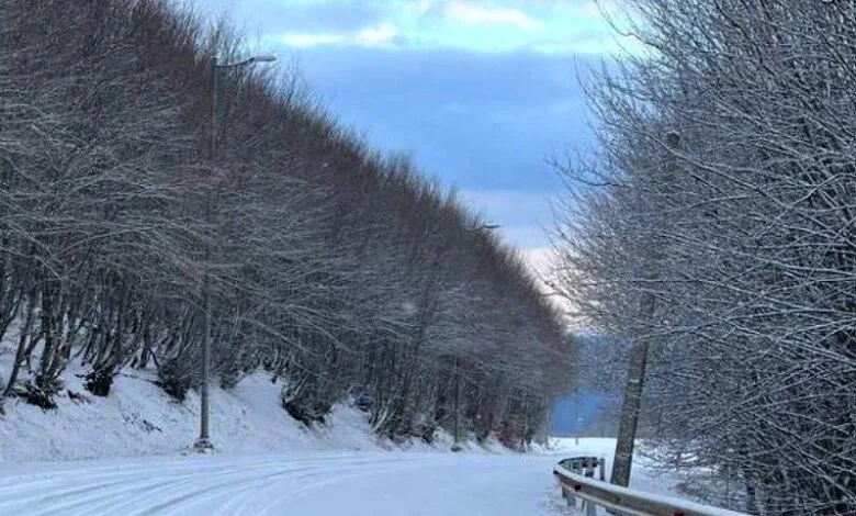 هشدار هواشناسی/ در این استان ها امروز برف شدید می بارد