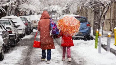 هشدار هواشناسی/ این استان‌ها منتظر برف و سرمای شدید باشند
