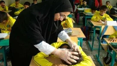 ماجرای شیوع گسترده شپش در مدارس ایران