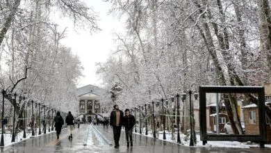 آماده‌باش به اهالی پایتخت؛ سرمای وحشتناک مهمان تهران شد!