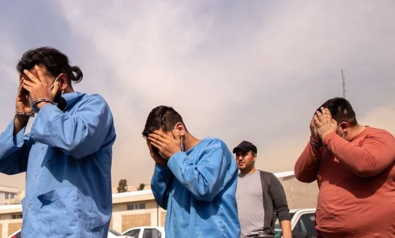 کلاهبرداری شرکت هرمی در تهران