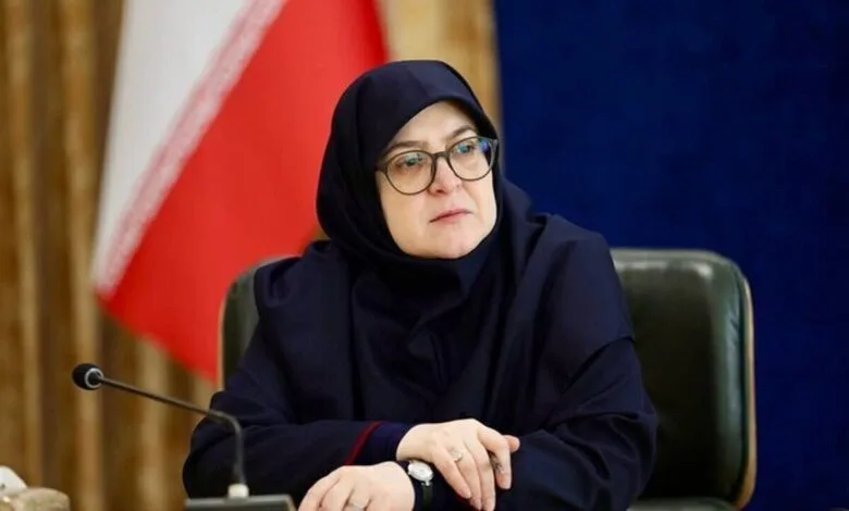 سخنگوی دولت: ایجاد روحیه منفی کمکی به حل مشکلات نمی‌کند