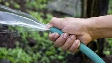 صدای پای بحران آب در تهران می‌آید