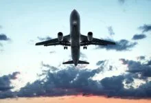حادثه برای هواپیمای شیراز به‌خاطر یک عقاب