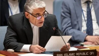 خبر شوکه‌کننده ایروانی از هجوم میلیون‌ها افغانی به ایران