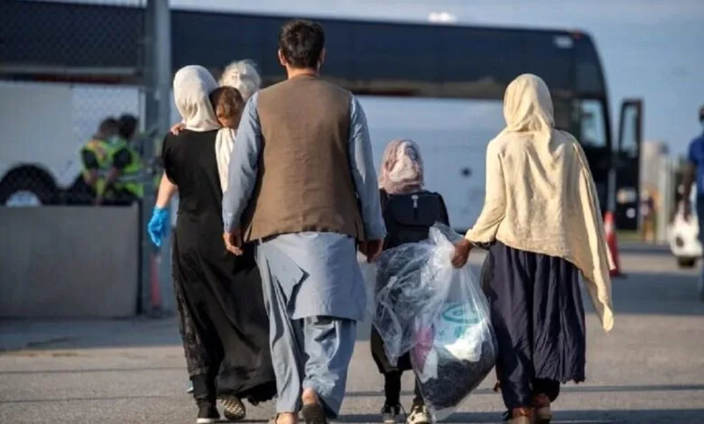چرا پلیس اتباع افغانستانی را می‌گیرد و دوباره رها می‌کند؟