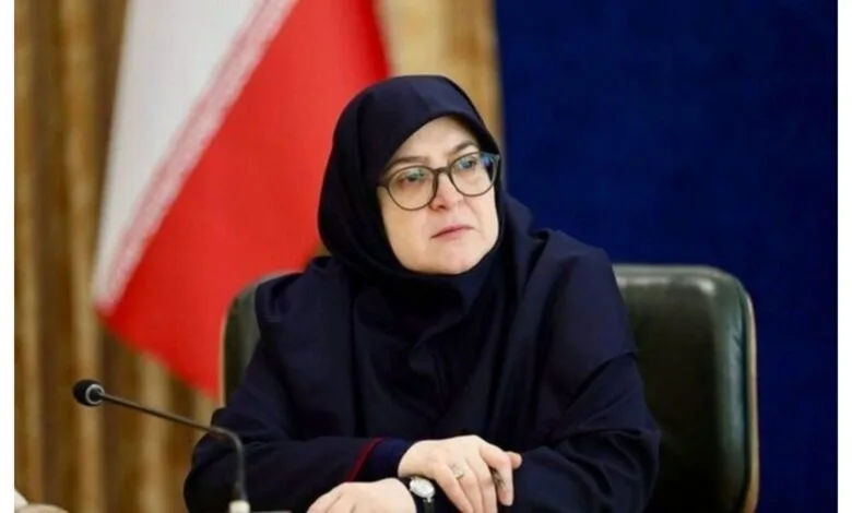 مهاجرانی: آماده توافق در زمان مناسب هستیم