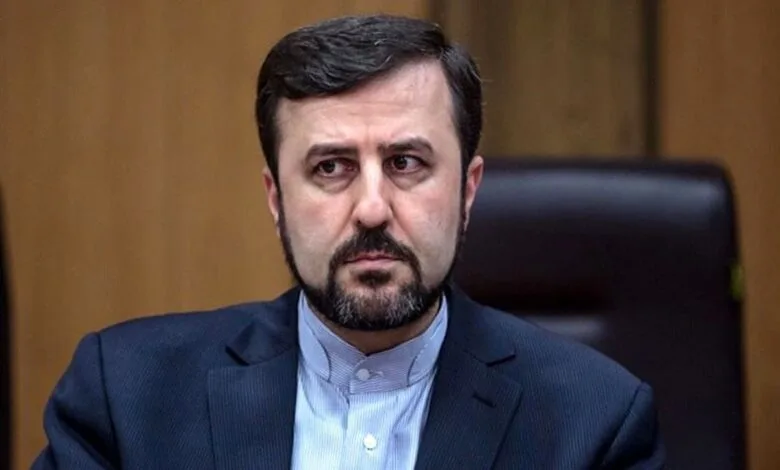 واکنش سفیر ایران در عمان به ماجرای خودکار طلایی