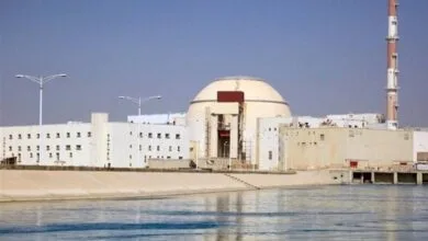 دستگیری یک در جاسوس در بوشهر