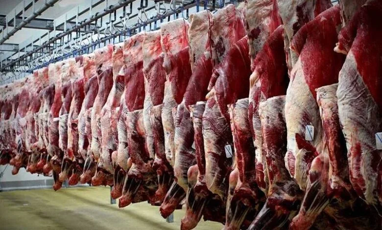 واقعیت ماجرای خودکفایی در تولید گوشت قرمز فاش شد