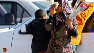 سهم اتباع خارجی از کودکان کار اعلام شد
